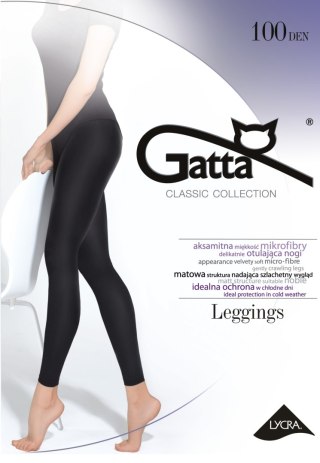 LEGGINGS MICROFIBRA 100 DEN R.5