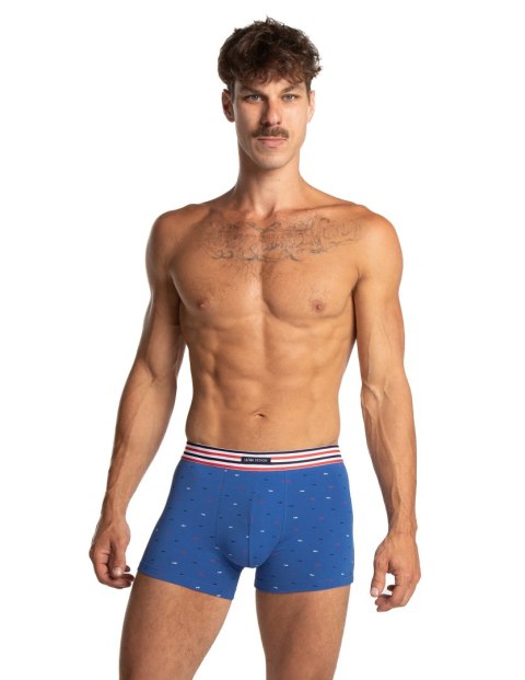 SZORTY MĘSKIE M-1066SZG