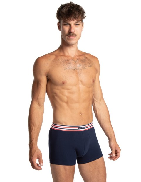 SZORTY MĘSKIE M-1066SZG