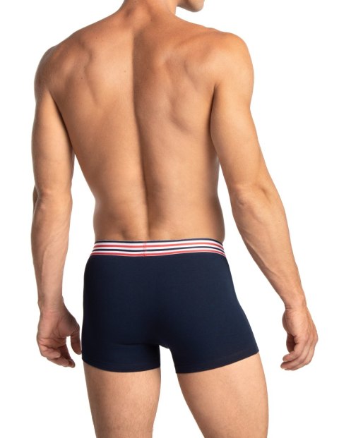 SZORTY MĘSKIE M-1066SZG