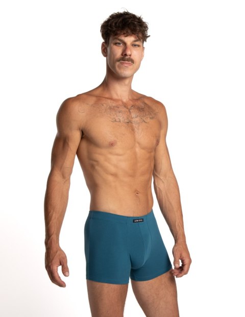 SZORTY MĘSKIE M-1072SZ R.3XL-4XL