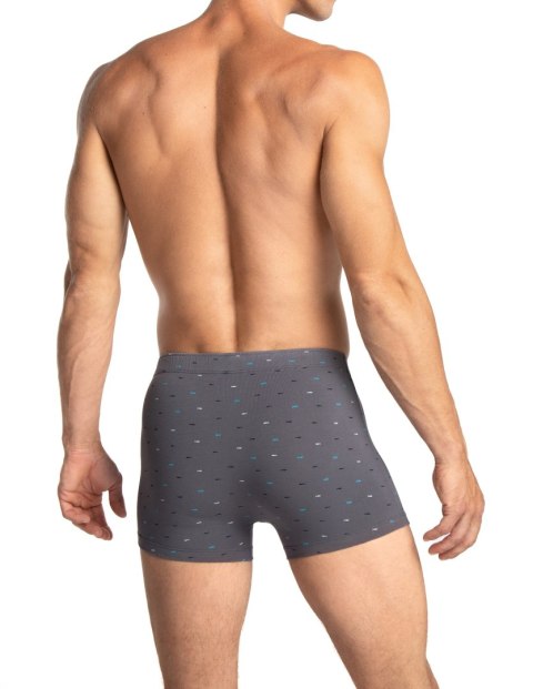 SZORTY MĘSKIE M-1076SZ